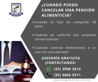 Pensión alimenticia 